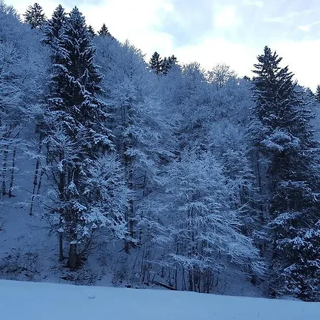 Montafonerhaus Berg-gluck شقة
